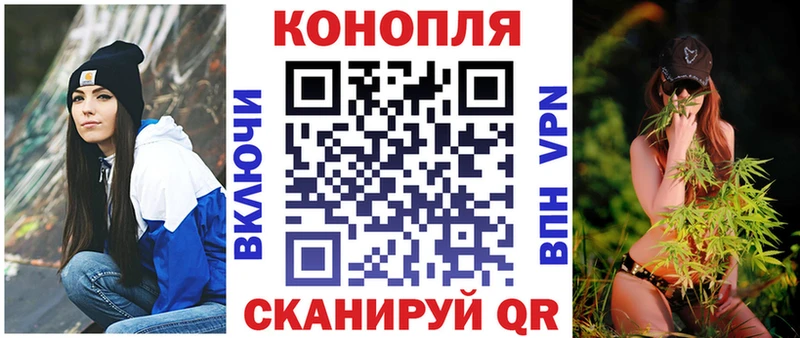 Канабис сатива  магазин продажи   blacksprut как зайти  Мосальск 